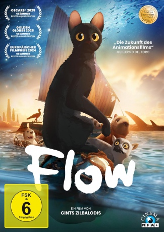 Flow [DVD]
