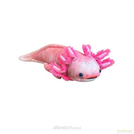 Axolotl 38cm