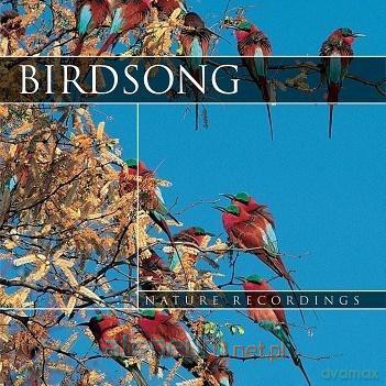 Bird Song [CD]
