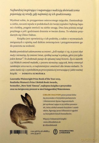 Jak wychować zająca - Chloe Dalton [KSIĄŻKA]