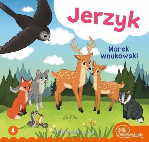 Jerzyk - Marek Wnukowski [KSIĄŻKA]