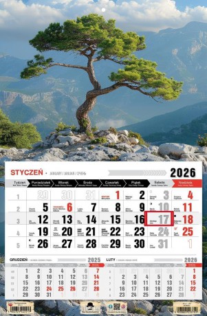Kalendarz 2026 jednodzielny bonsai [KALENDARZ]