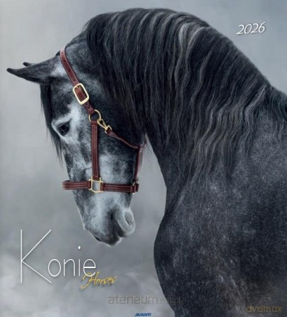 Kalendarz 2026 ścienny 32x32cm Konie [KALENDARZ]
