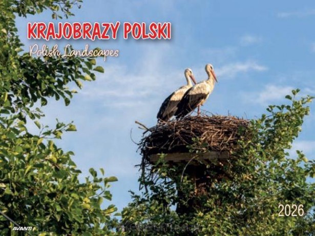 Kalendarz 2026 ścienny album. 28,5x20cm Krajobrazy [KALENDARZ]