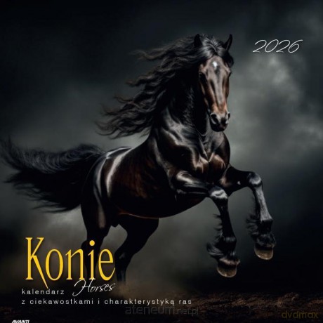 Kalendarz 2026 ścienny albumowy 30x30cm Konie [KALENDARZ]