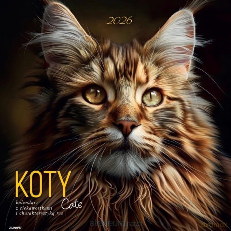 Kalendarz 2026 ścienny albumowy 30x30cm Koty [KALENDARZ]