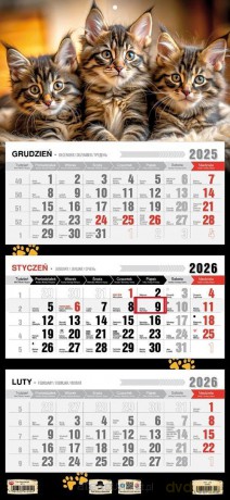 Kalendarz 2026 trójdzielny płaska główka kotki [KALENDARZ]
