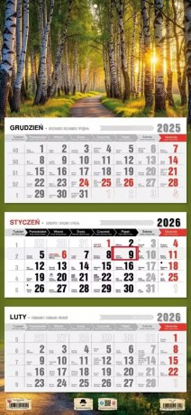 Kalendarz 2026 trójdzielny płaska główka las [KALENDARZ]
