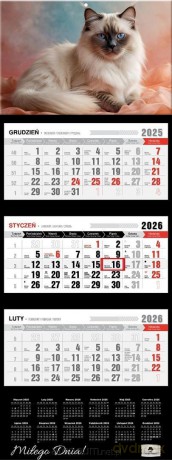 Kalendarz 2026 trójdzielny premium kot [KALENDARZ]