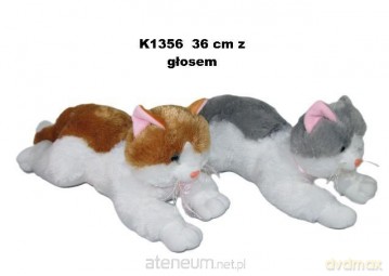 Kot glos 36cm MIX