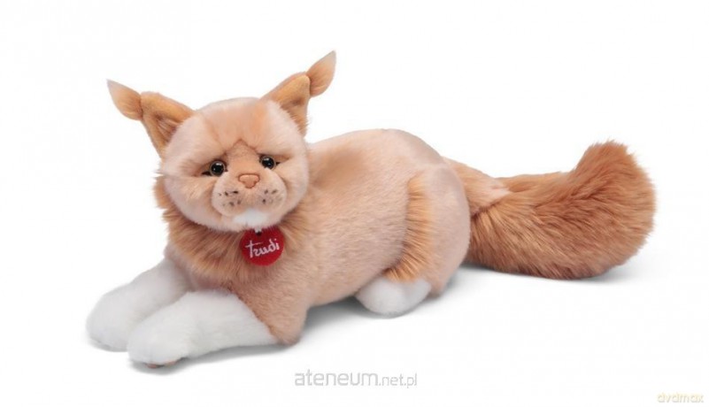 Kot rasy Maine Coon