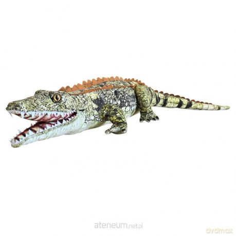 Krokodyl szary 90cm