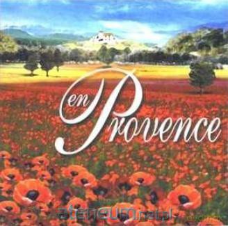 Les Troubadours Du Soleil - En Provence [CD]