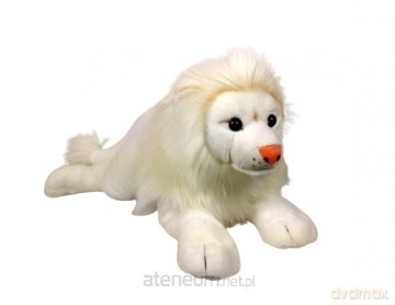Lew biały 60cm