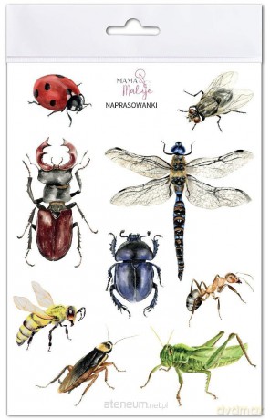 Naprasowanki Owady