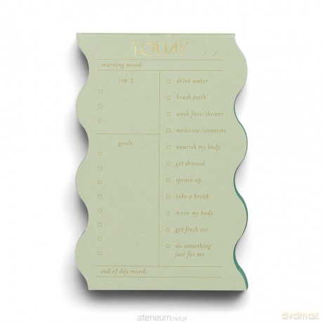 Notatnik Wavy Daily Sage