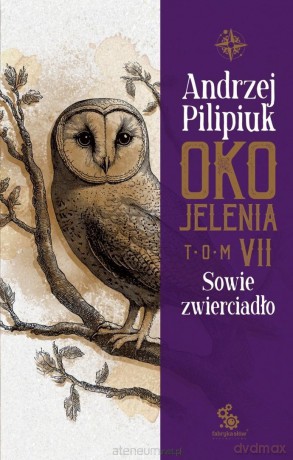 Oko Jelenia. Sowie zwierciadło - Andrzej Pilipiuk [KSIĄŻKA]