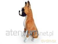 Pies Bokser 65cm