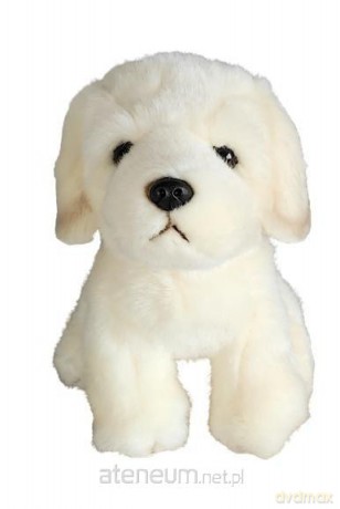 Pies retriver 19cm
