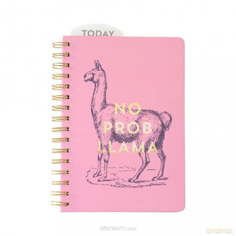 Planner 12M No Prob Llama