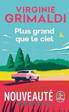 Plus grand que le ciel - Virginie Grimaldi [KSIĄŻKA]