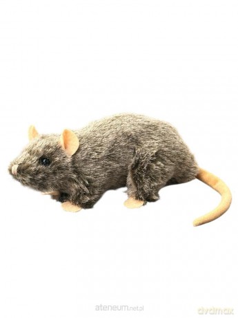Szczur 20cm MIX