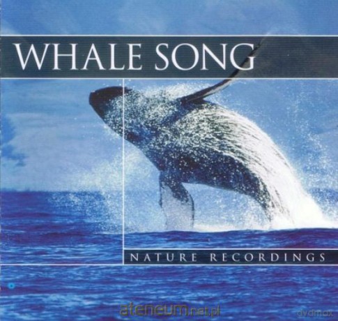 Whale Song - Wieloryby [CD]