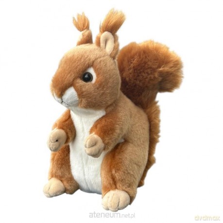 Wiewiórka 22cm