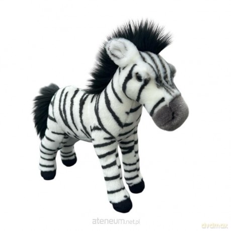 Zebra stojąca 30cm