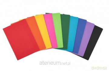 Zeszyt A5/60K linia z marginesem Rainbow (10szt)