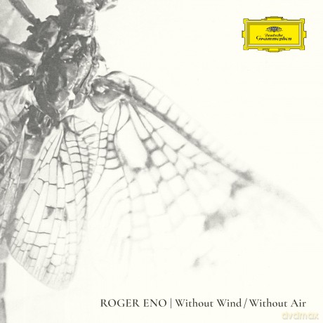 Roger Eno: Without Wind, Without Air [Winyl]