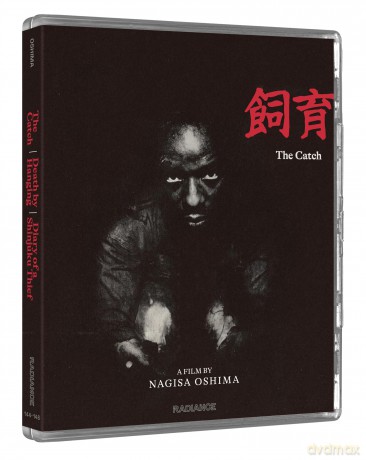 Radical Japan - Cinema And State (The Catch/ Death by Hanging/ Diary of a Shinjuku Thief/ Boy/ The Man Who Left His Will on Film/ The Ceremony/ Dear Summer Sister) [7xBlu-Ray]