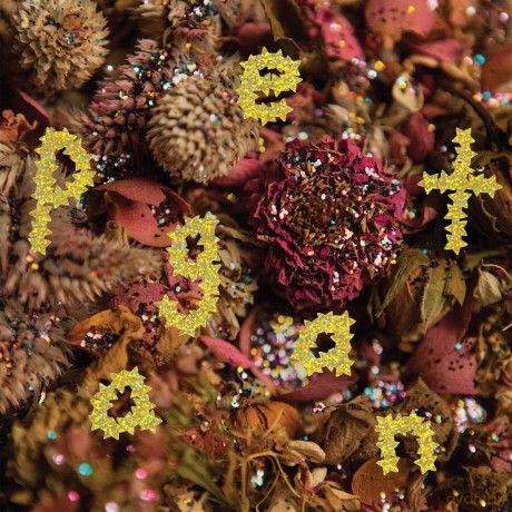 PWR BTTM: Pageant [CD]