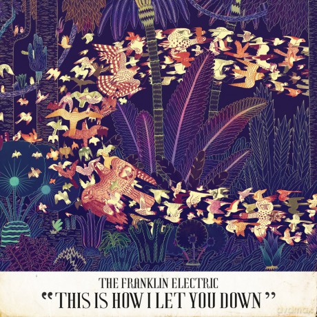The Franklin Electric: This Is How I Let You Down [CD]