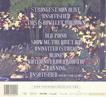 The Franklin Electric: This Is How I Let You Down [CD]