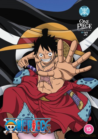 One Piece Collection 37 [DVD]