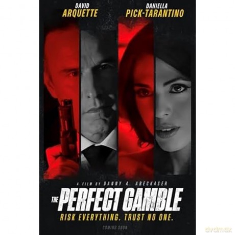 The Perfect Gamble [DVD]