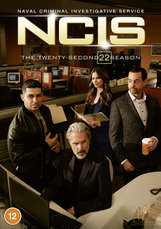 NCIS Season 22 [DVD]