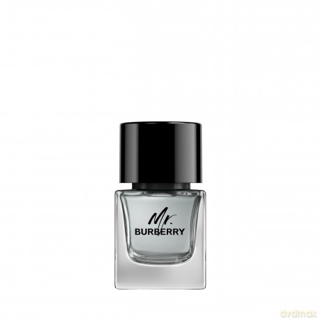 Burberry Mr Burberry 50ml EDT Spray