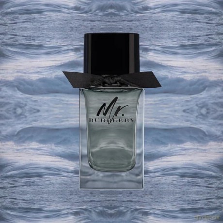 Burberry Mr Burberry 50ml EDT Spray