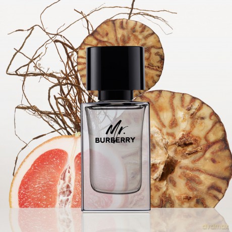 Burberry Mr Burberry 50ml EDT Spray