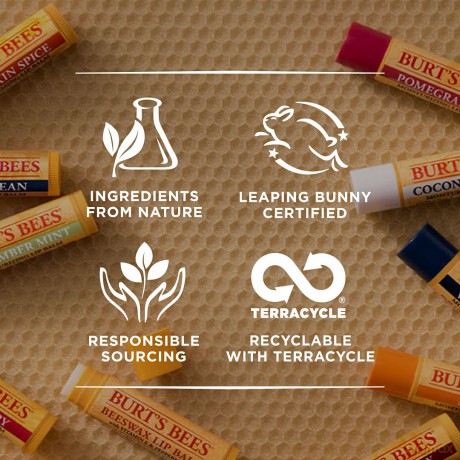 Burt's Bees LE Lip Balm - Blister - Mint Cocoa 0.15oz - Ltd Ed