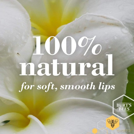 Burt's Bees Lip Balm - Wild Cherry Blister (0.15oz/4.25g)