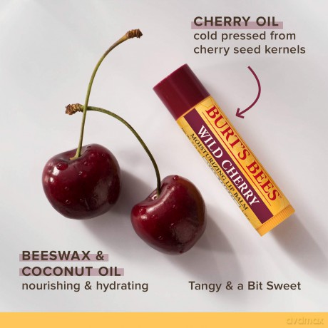 Burt's Bees Lip Balm - Wild Cherry Blister (0.15oz/4.25g)