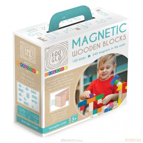Klocki drewniane Mega Colour 100szt [KLOCKI]