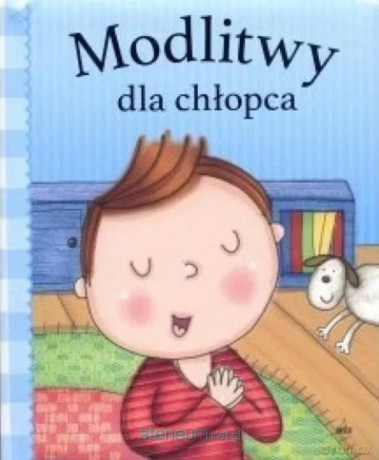 Modlitwy dla chłopca [KSIĄŻKA]