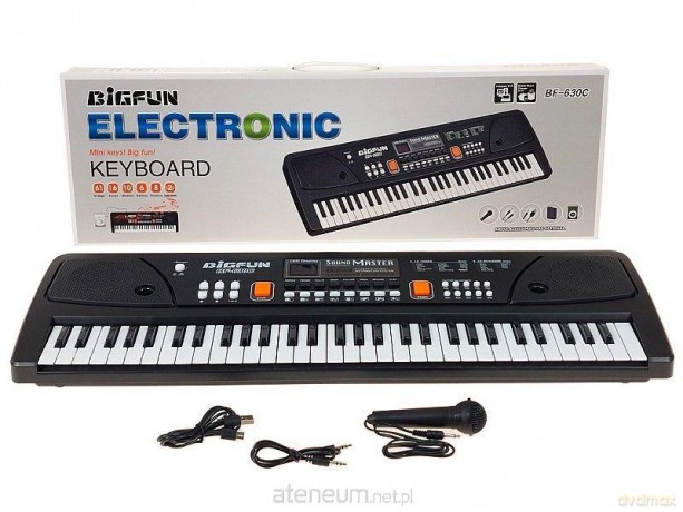 Organki 61 klawiszy z mikrofonem ładowarka USB