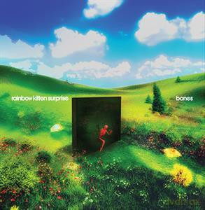 Rainbow Kitten Surprise: Bones [CD]