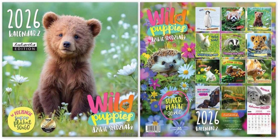 Kalendarz 2026 ścienny Classic Wild Puppies [KALENDARZ]