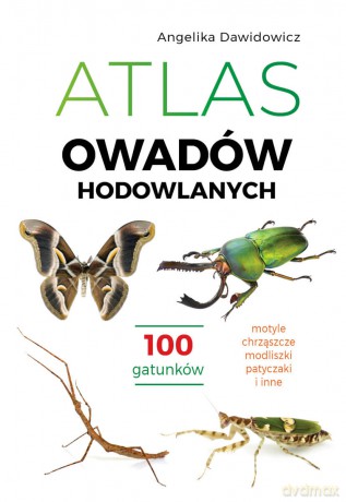 Atlas owadów hodowlanych. 100 gatunków - Angelika Dawidowicz [KSIĄŻKA]